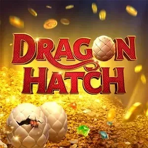 dragon-hatch by pg racing