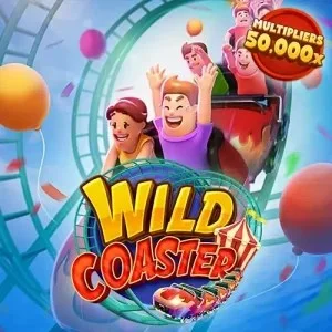 wild-coaster by pg racing